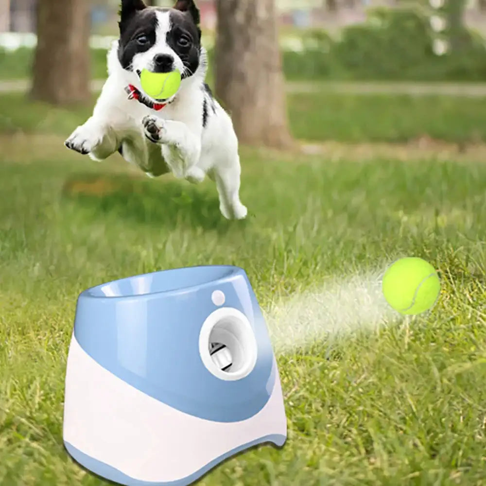 Keep Your Pup Active Without Lifting a Finger – Automatic Tennis Ball Launcher + 3 FREE Balls (Low Stock Sale!!)