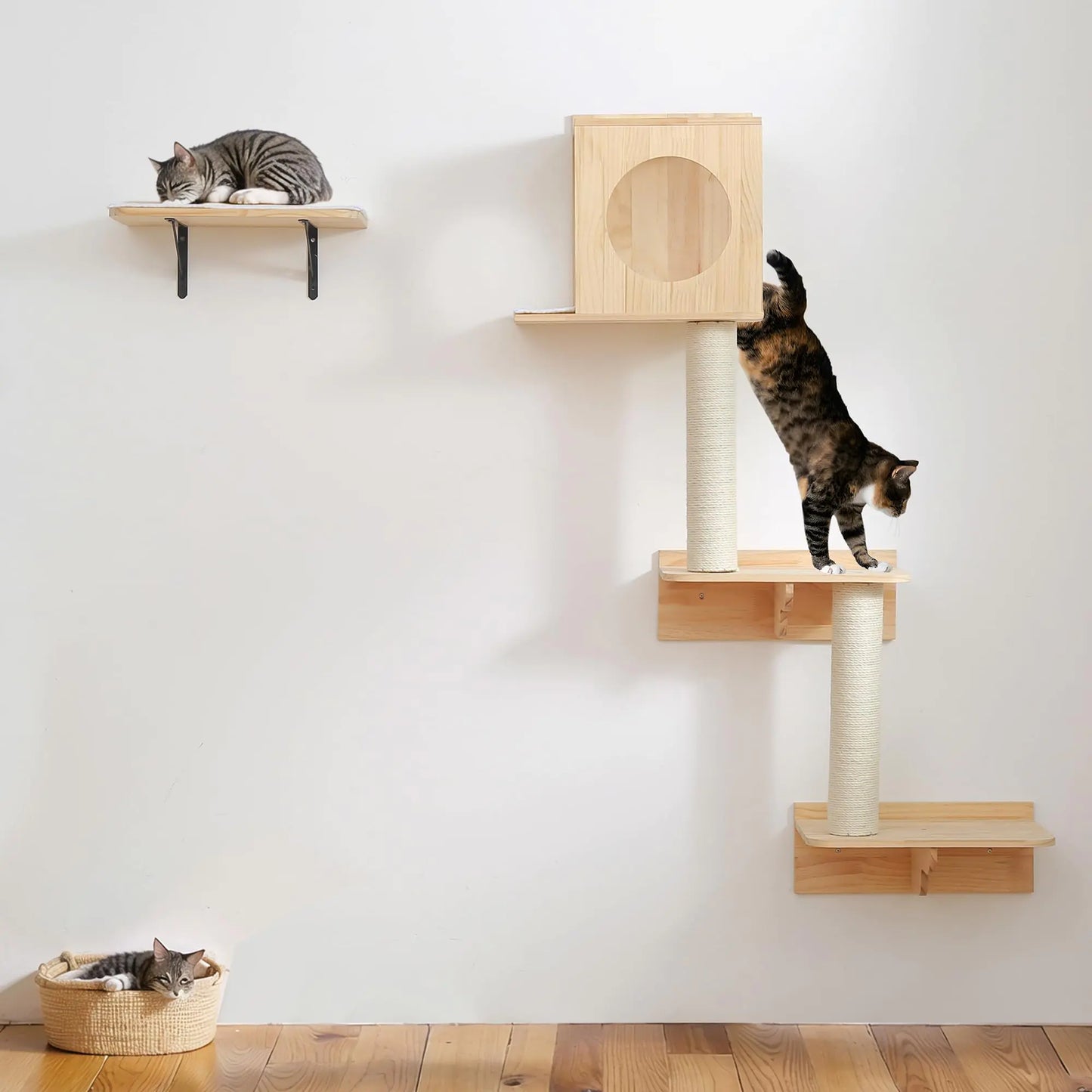 Wall Mounted Cat Tree