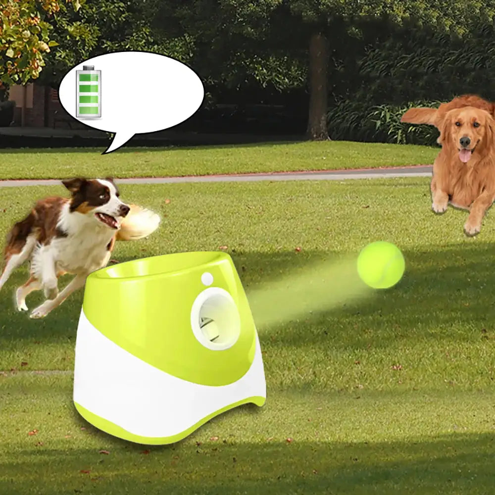 Keep Your Pup Active Without Lifting a Finger – Automatic Tennis Ball Launcher + 3 FREE Balls (Low Stock Sale!!)