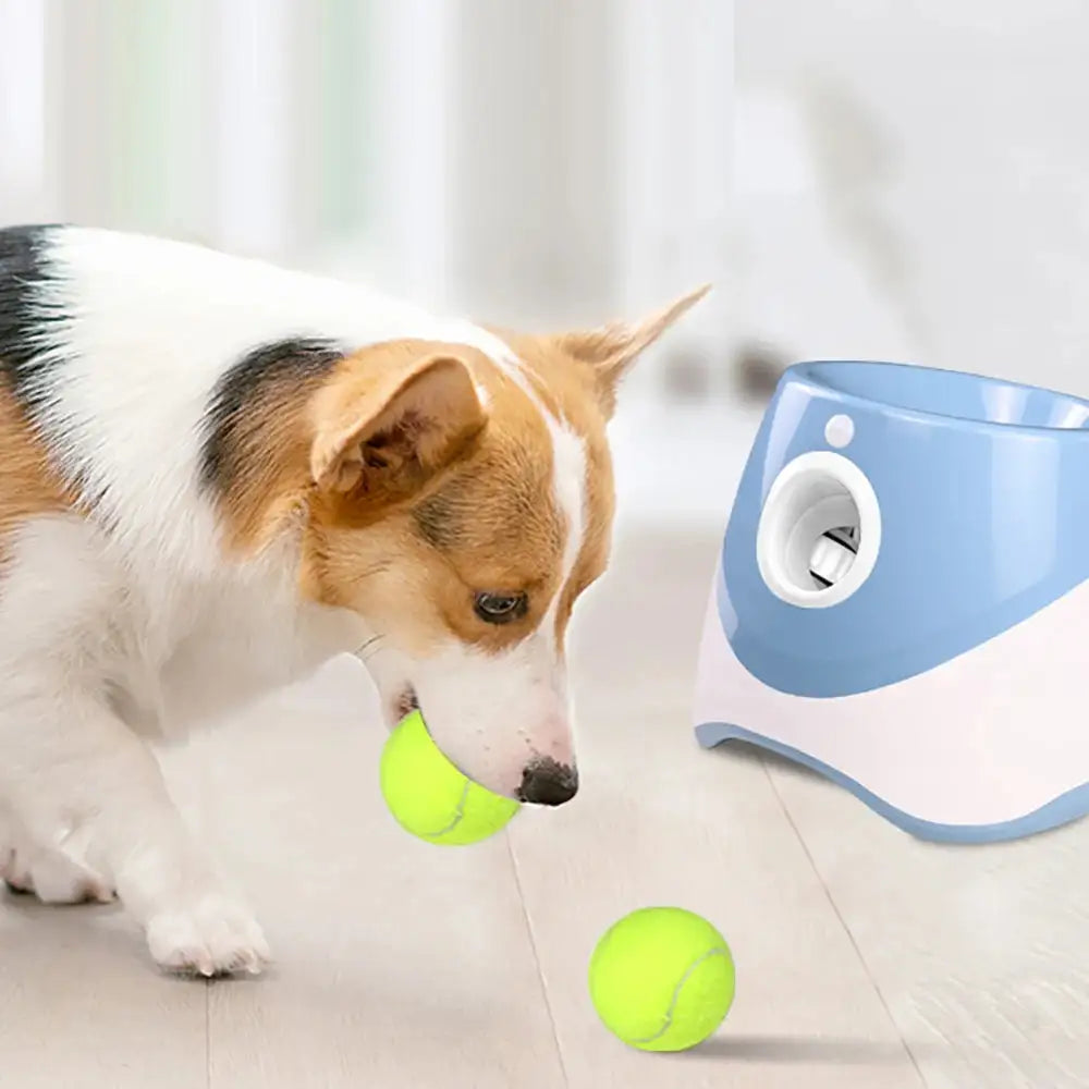 Keep Your Pup Active Without Lifting a Finger – Automatic Tennis Ball Launcher + 3 FREE Balls (Low Stock Sale!!)