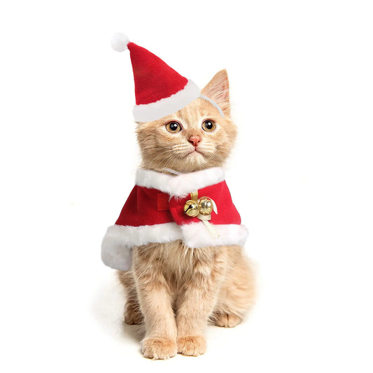 Cat Santa Christmas Costume